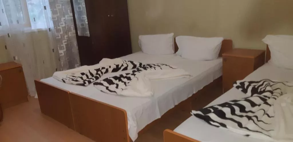 3х местный Эконом. Гостевой дом Виолетта . Адлер 3х местный Эконом. Гостевой дом Виолетта . Адлер