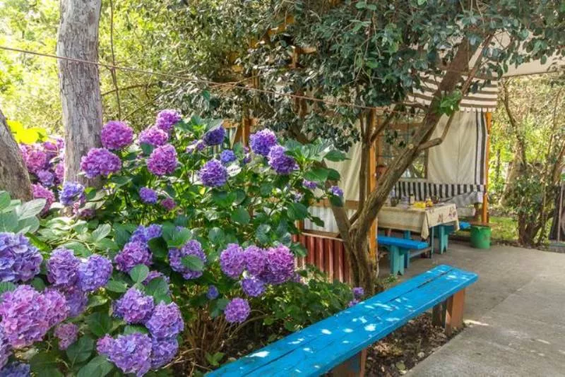 . Гостевой дом "У Татьяны". Лазаревское . Гостевой дом "У Татьяны". Лазаревское