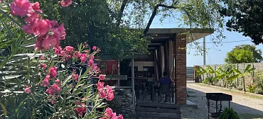 Гостевой комплекс Шезлонг 