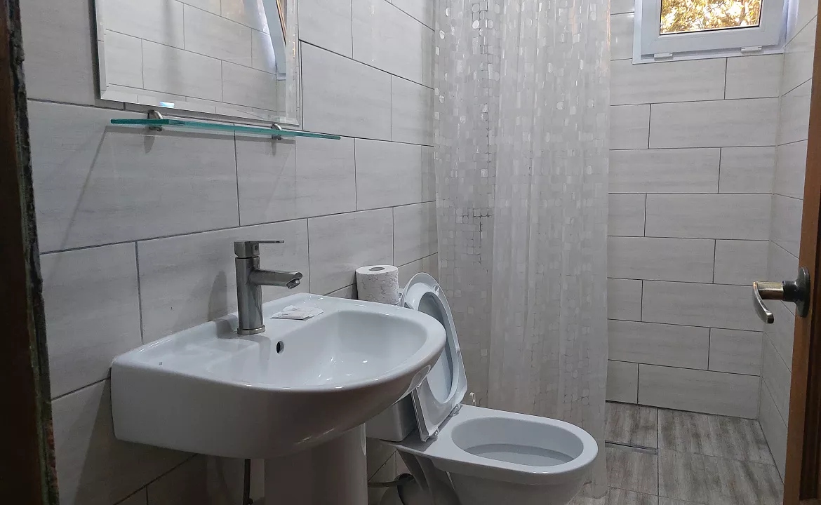 стандарт 3-хместный. Гостевой дом КАМЕЛИЯ. Пицунда