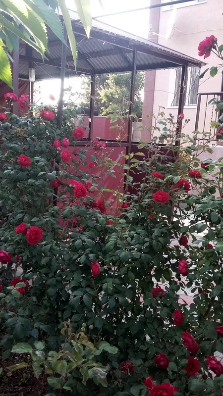 . Дом под-ключ Качинское шоссе 8 . Севастополь