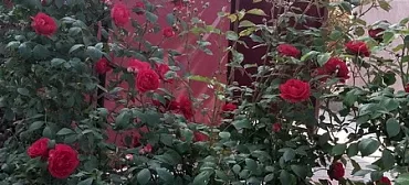 Дом под-ключ Качинское шоссе 8 