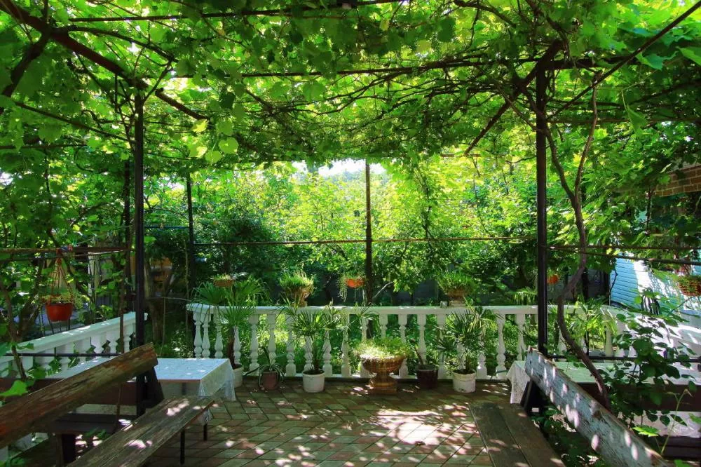 . Частный сектор "На Ореховой 58". Джубга