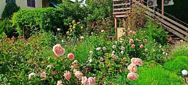 Гостевой дом "Семья" - Должанская