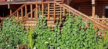 Гостевой дом "Одиссей" - Приморский