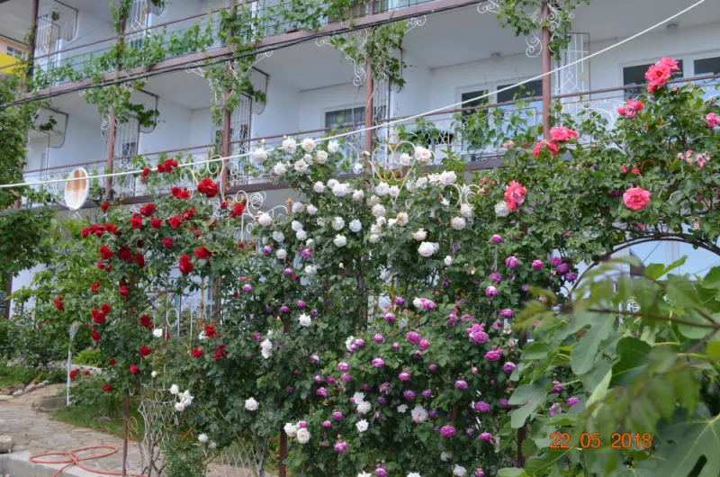 . Гостевой дом ТеремОК - Коктебель. Коктебель