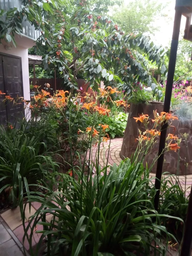 . Гостевой дом "Алина" - Голубицкая. Голубицкая