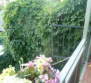 Частный сектор У Марины