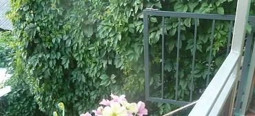 Частный сектор У Марины