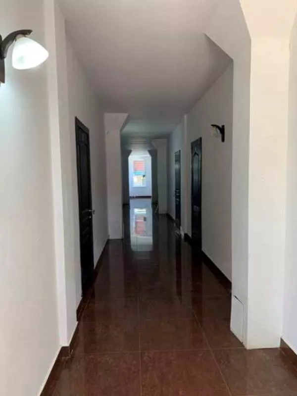 . Гостевой дом "Пицунда". Пицунда . Гостевой дом "Пицунда". Пицунда