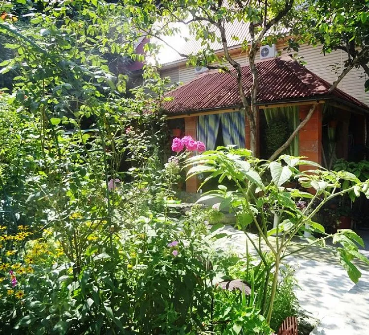 . Частный сектор Елена. Аше . Частный сектор Елена. Аше