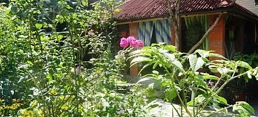 Частный сектор Елена