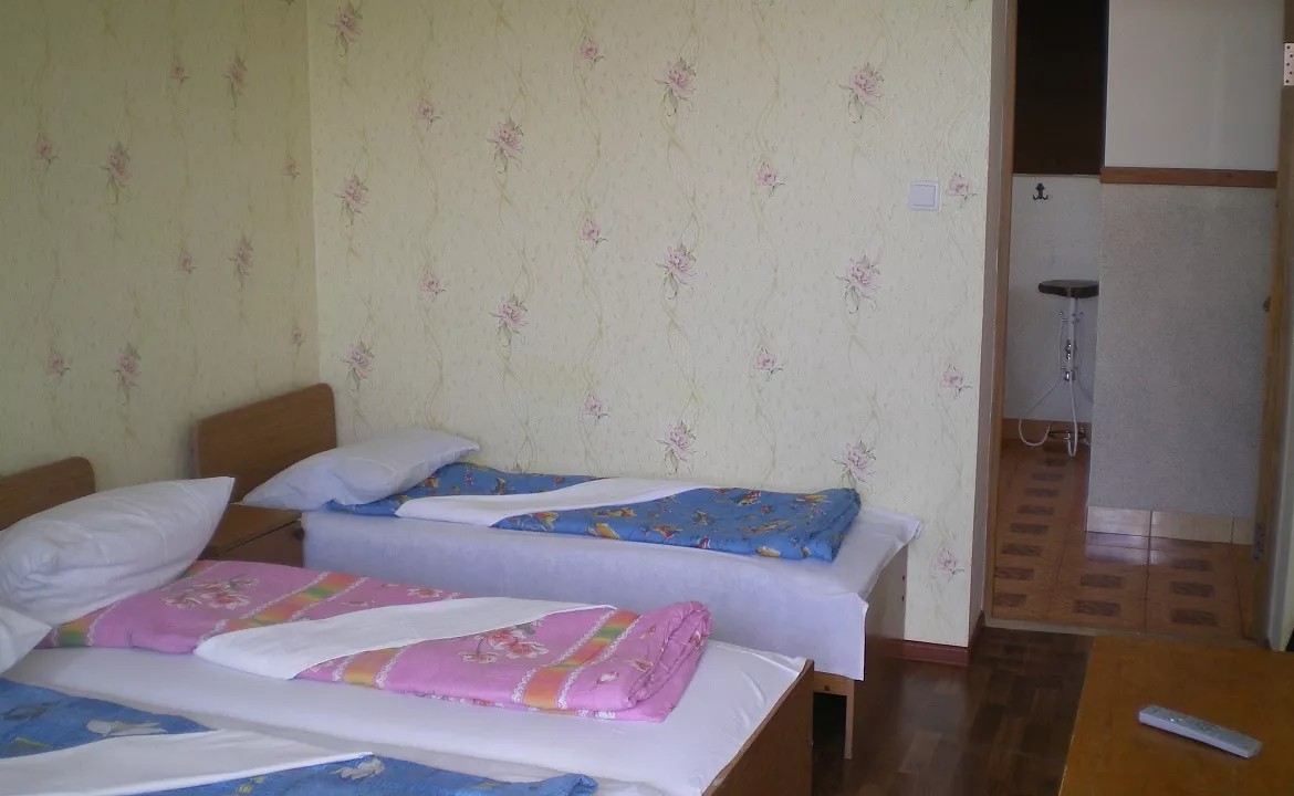 Номер эконом 3 местный. Гостевой дом МАРЬЮШКА. Лазаревское Номер эконом 3 местный. Гостевой дом МАРЬЮШКА. Лазаревское