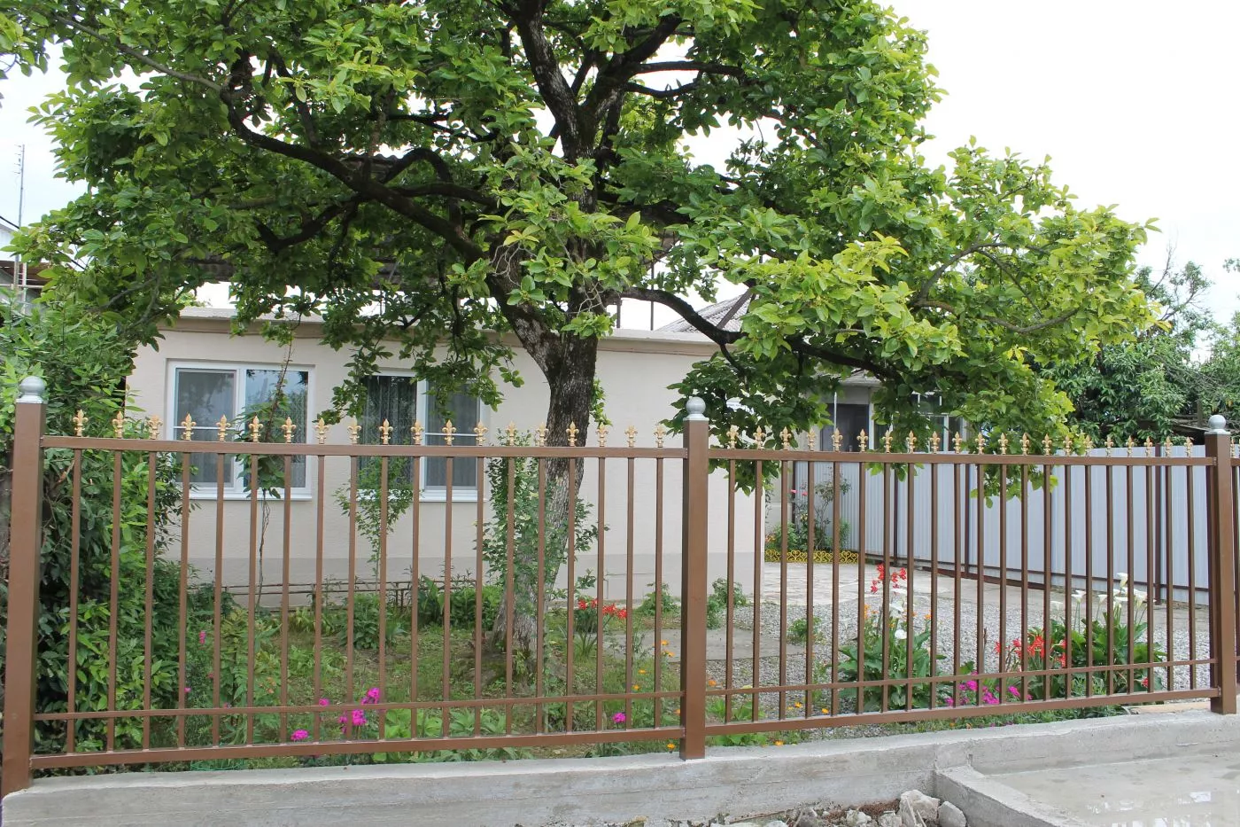 . Гостевой дом Золотая Рыбка - Гагра. Гагра