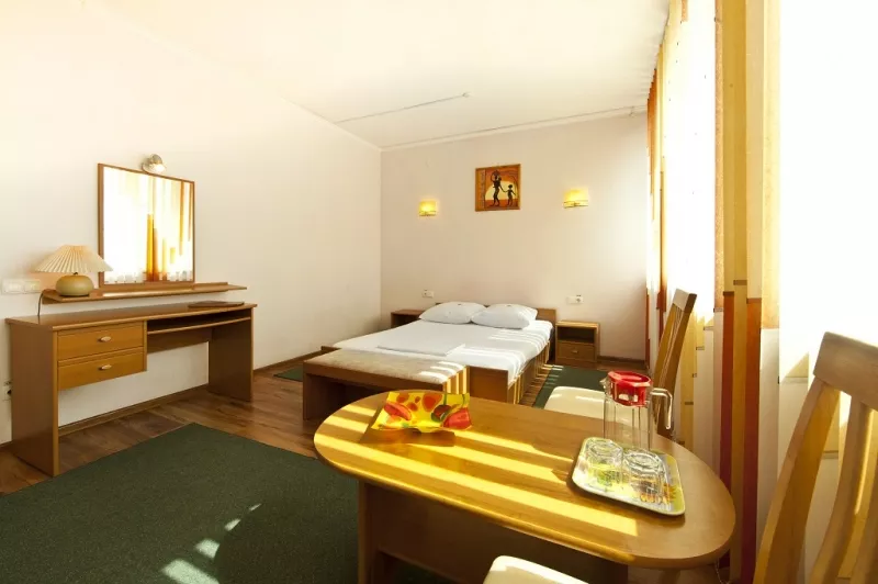 1-комнатный 1-2 местный 