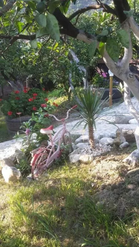 . Гостиница "Багира". Новый Афон