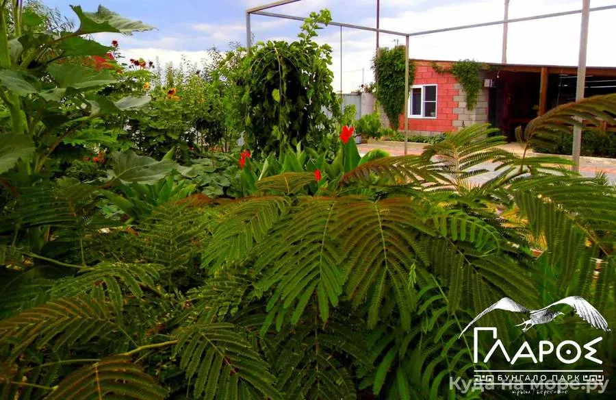 . Бунгало парк «ΓΛΑΡΟΣ». Береговое