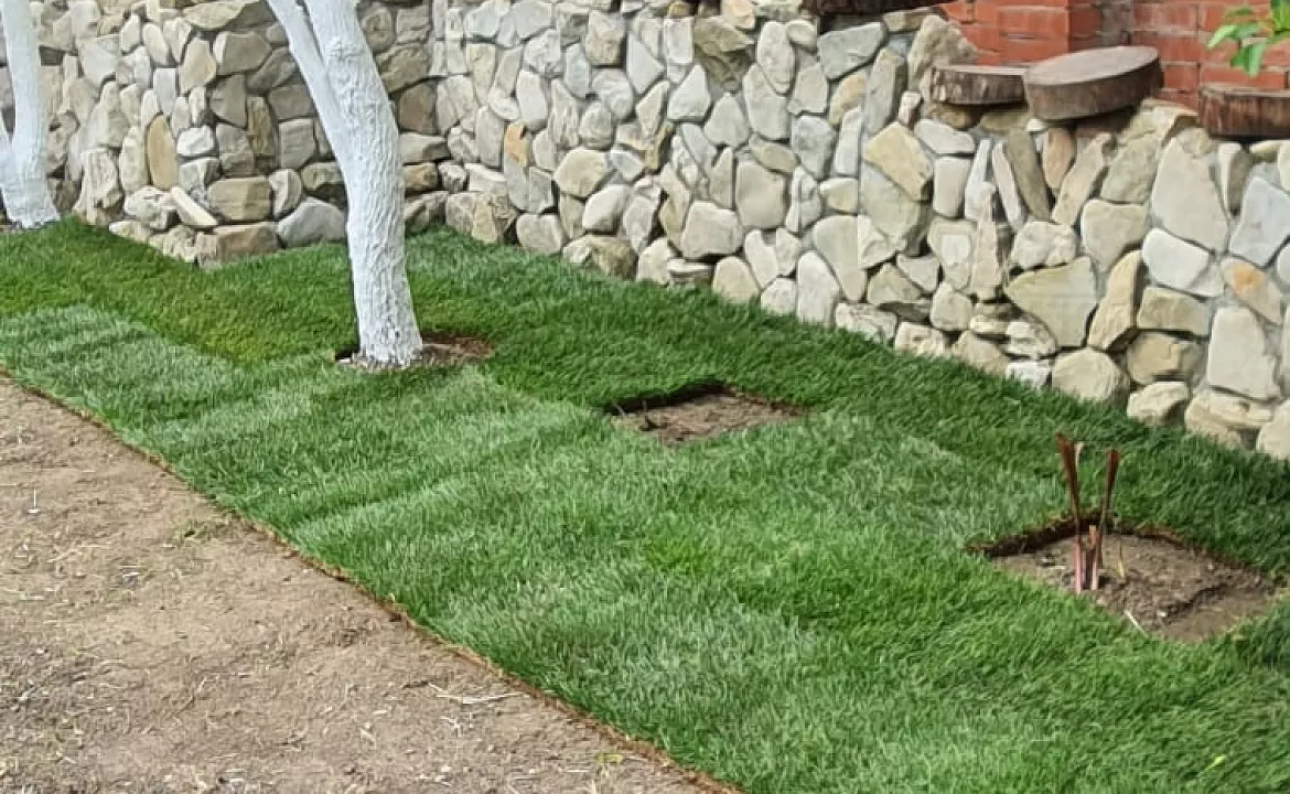 С удобствами на 2, 3, 4 и 5 человек. Гостевой дом ОРИОН. Ольгинка