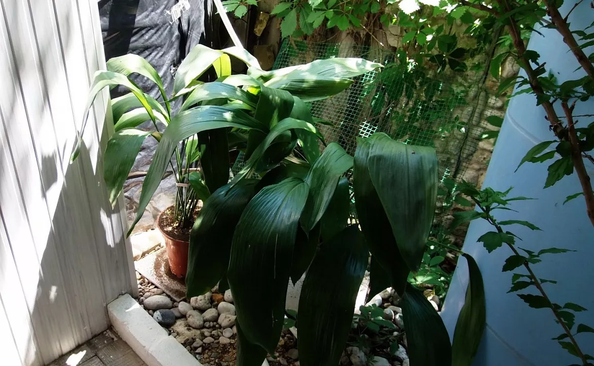 Двухкомнатный 4-х местный на 1-м этаже. Гостевой дом Гостевой дом "Спортлото-82".. Коктебель