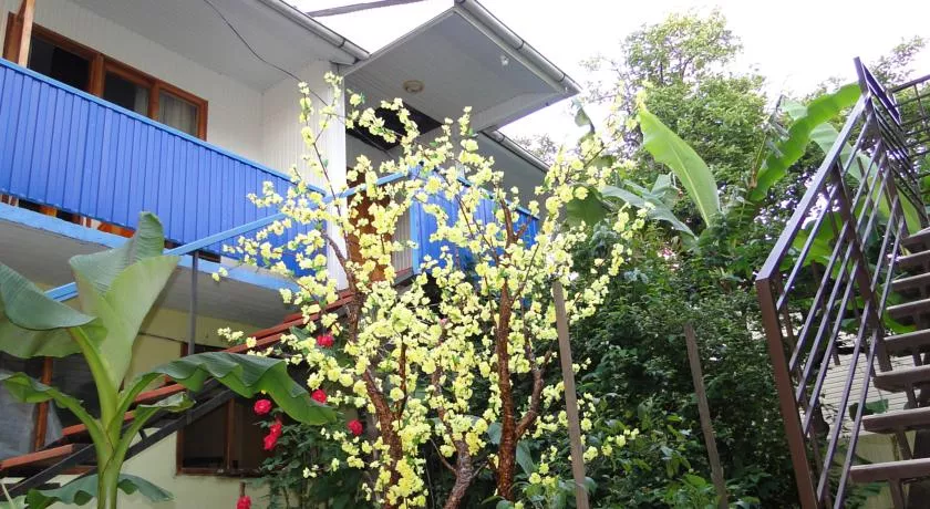 . Частный сектор "Санрайз". Лазаревское