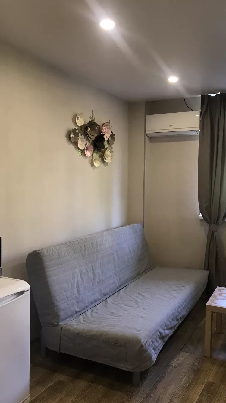 . Квартира поделённая на 2 студии каждая со всеми удобствами. Курорты Сочи