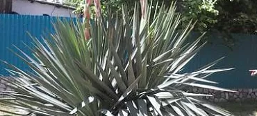 Частный сектор На Армейской