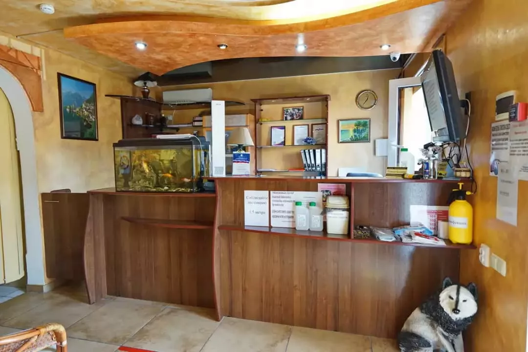 . Отель «Черноморец». Лазаревское . Отель «Черноморец». Лазаревское