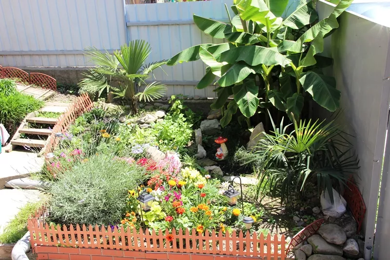 . Гостевой дом "У Елены" . Лазаревское