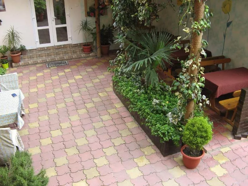 . Гостевой дом "Дом с дельфинами" (корпус 2). Адлер