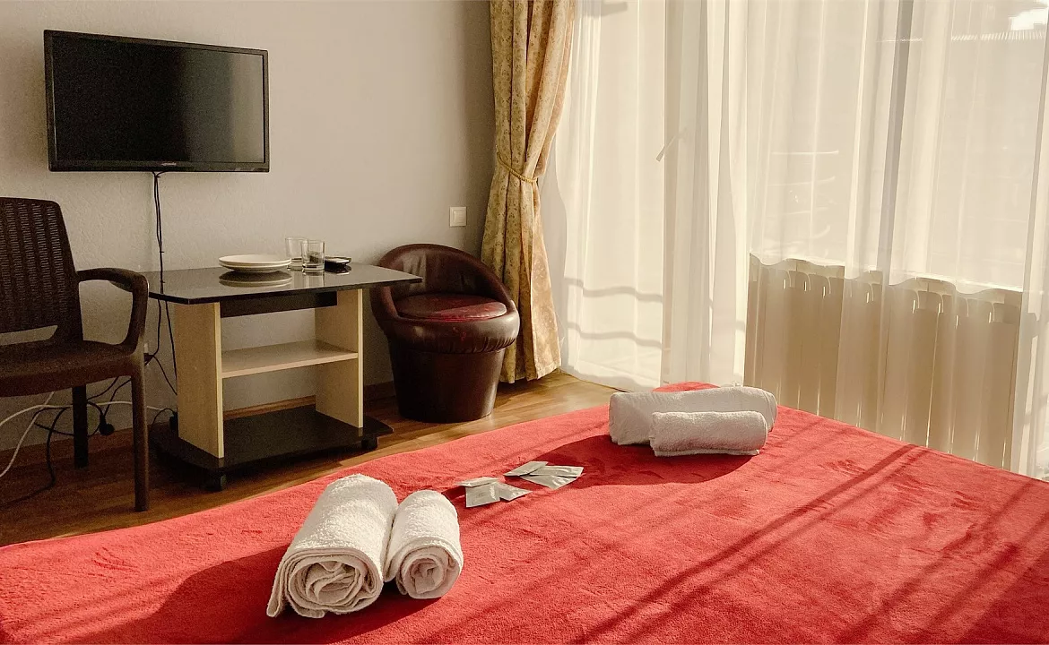 Стандартный номер с двуспальной кроватью и видом на бассейн. Отель "Ниагара Фоллс". Сочи