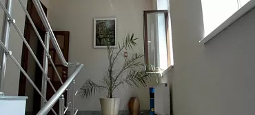 Гостиница Briz