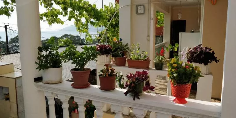 . Гостевой дом "Несник" . Гагра