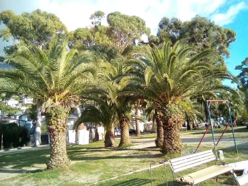 . Частный сектор на Генерала Дбар 16. Гагра . Частный сектор на Генерала Дбар 16. Гагра