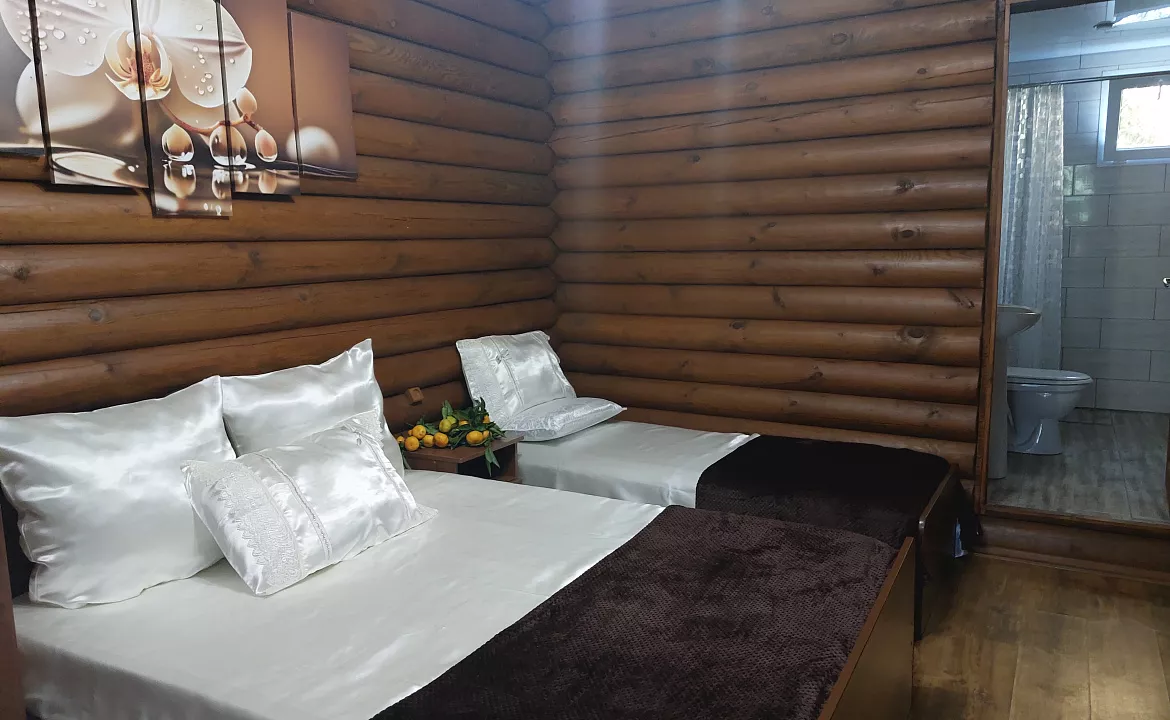 стандарт 3-хместный. Гостевой дом КАМЕЛИЯ. Пицунда