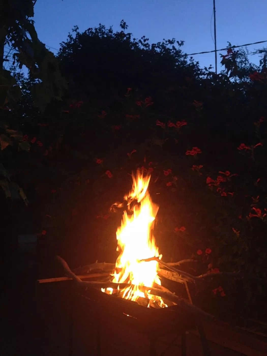 . Гостевой дом на Комарова 17. Витязево