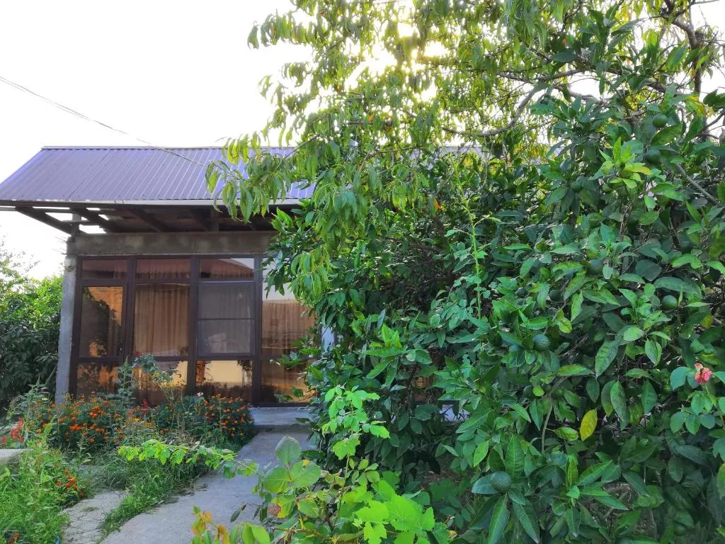 . Гостевой дом "У Або". Гагра