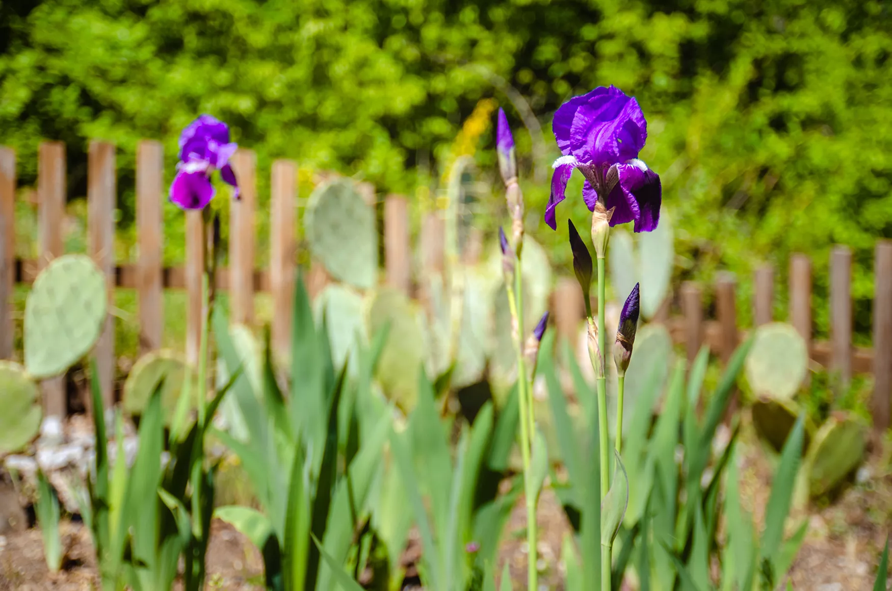 . Мини-отель Сан-Сити. Рыбачье