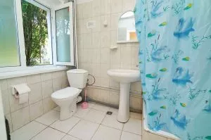 2-х и 3-х местные стандартные номера. Учебно-оздоровительная база «Горизонт»    . Ольгинка