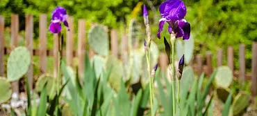 Мини-отель Сан-Сити