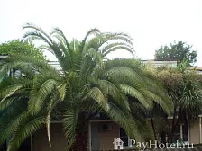 Частный сектор "Пальма" Частный сектор "Пальма"