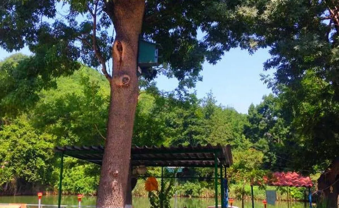 Дом. Дом под ключ Речная 62 в Лермонтово. Лермонтово Дом. Дом под ключ Речная 62 в Лермонтово. Лермонтово