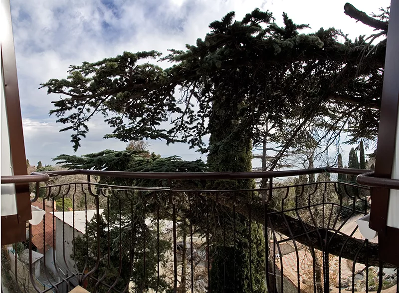 . Гостевой дом "Кедр-Запад". Алупка