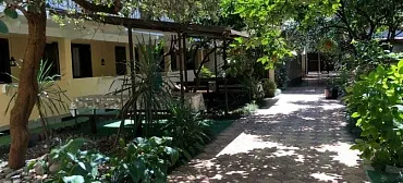 Гостевой дом «Диана» - Адлер