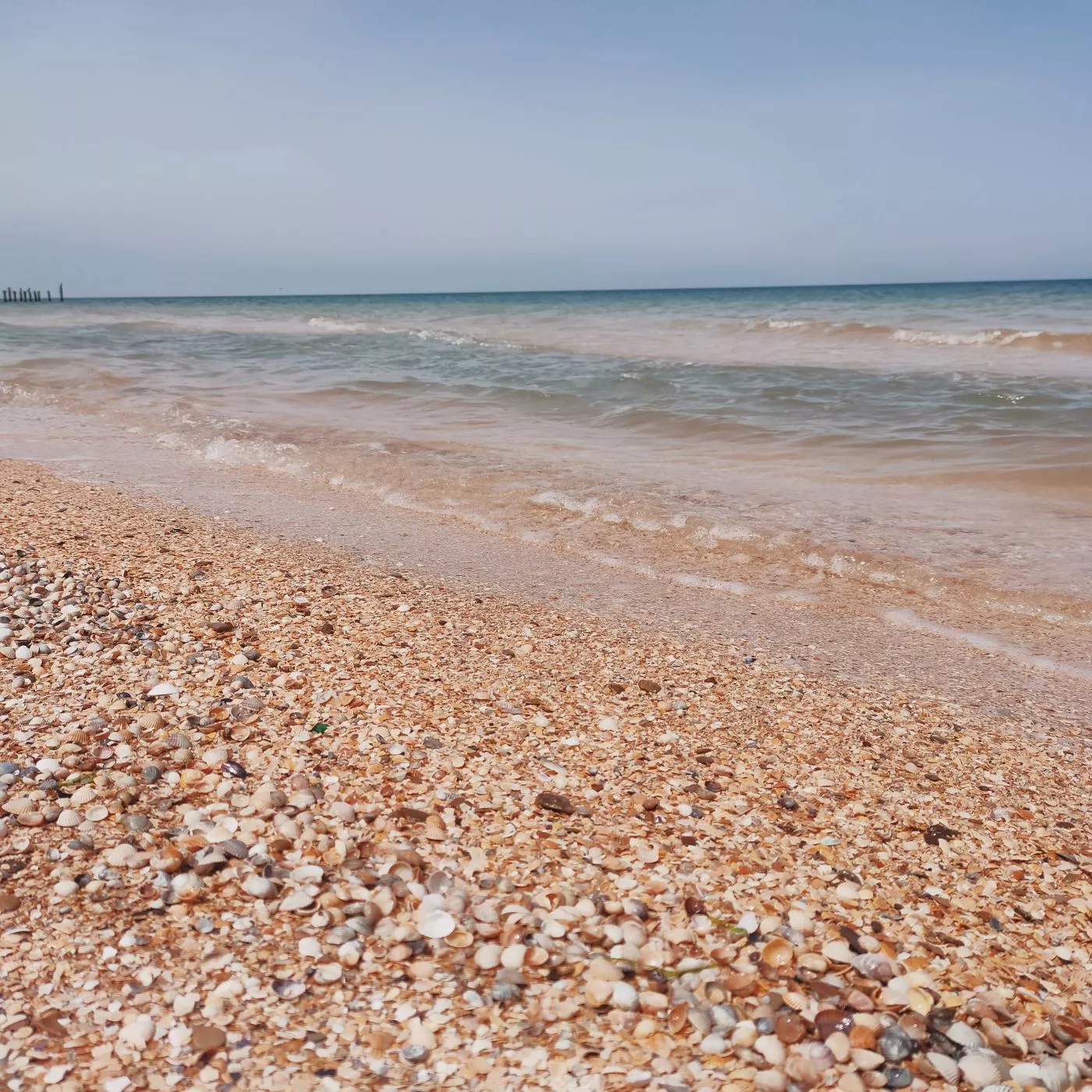 . Гостевой дом Ласточкино гнездо. Голубицкая