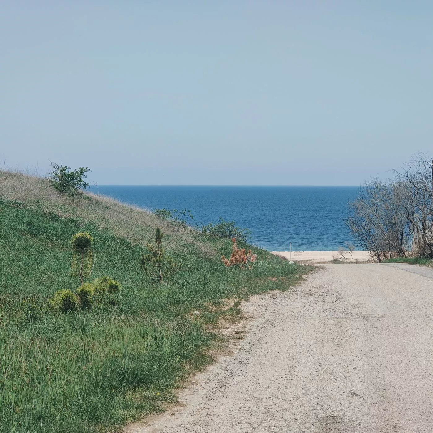 . Гостевой дом Ласточкино гнездо. Голубицкая
