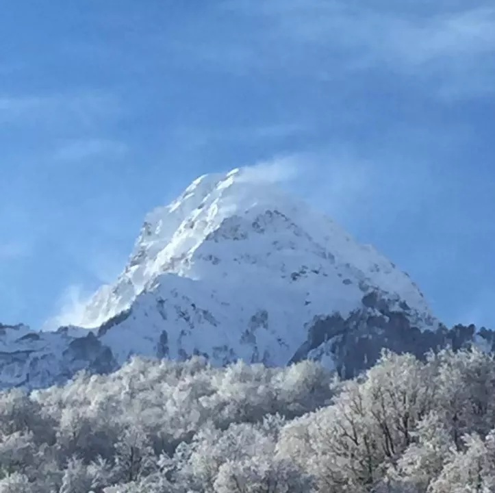 . Апартаменты Романовские на Красной Поляне. Красная Поляна