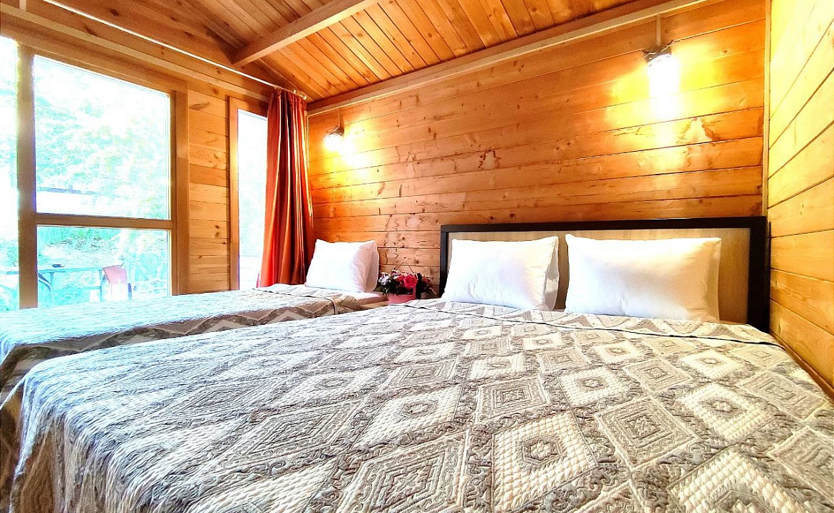 Отдельный домик в общем дворе. Гостевой дом "Цитрус". Цандрипш