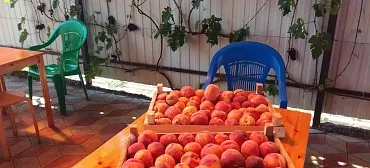 Частный гостевой дом Касабланка