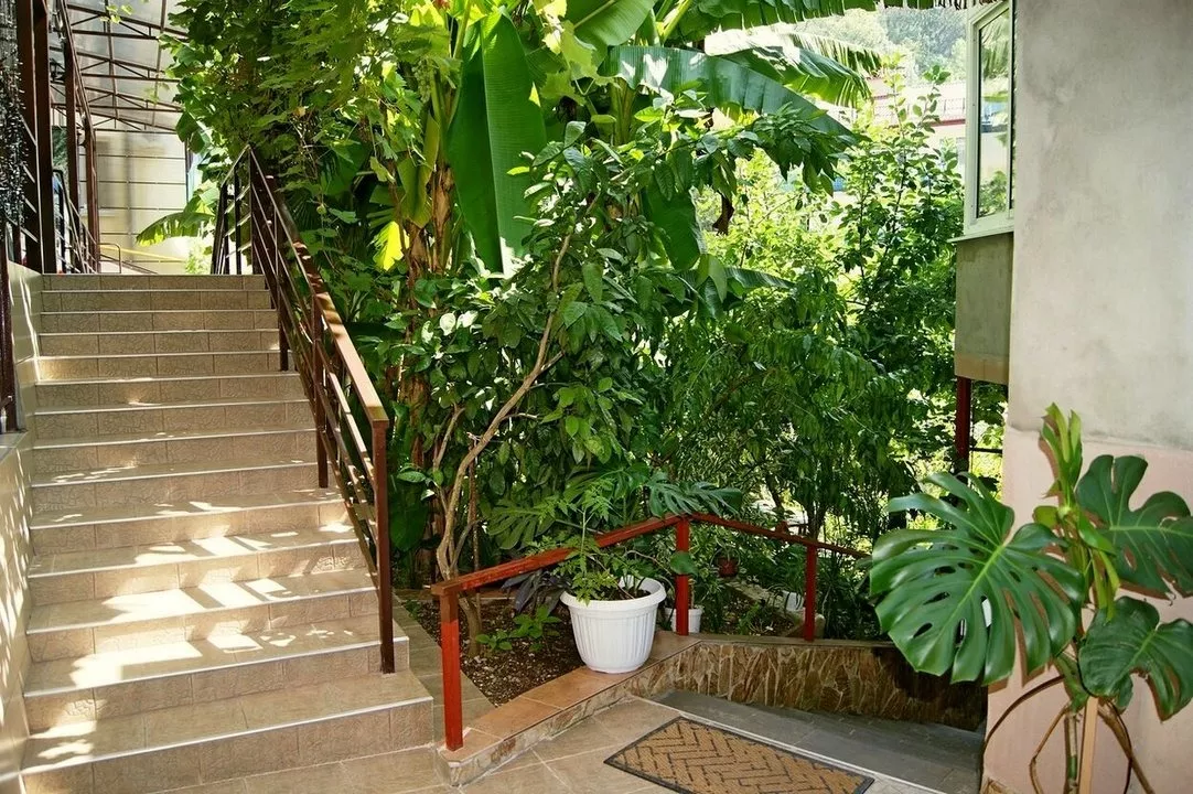 . Отель "Арго" ★★★ . Лазаревское