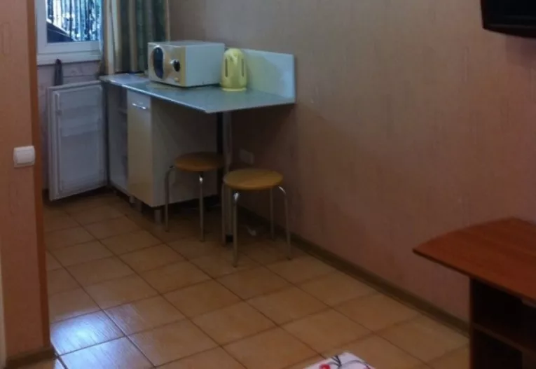 Отдельно стоящий номер-студия со всеми удобствами и отдельным входом. Гостевой дом "АТикА". Адлер